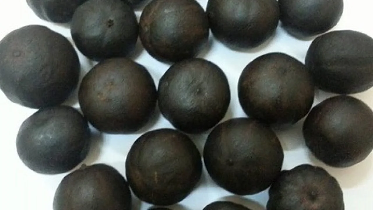 dried black lemon